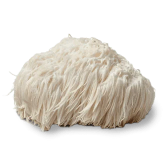Lion's Mane